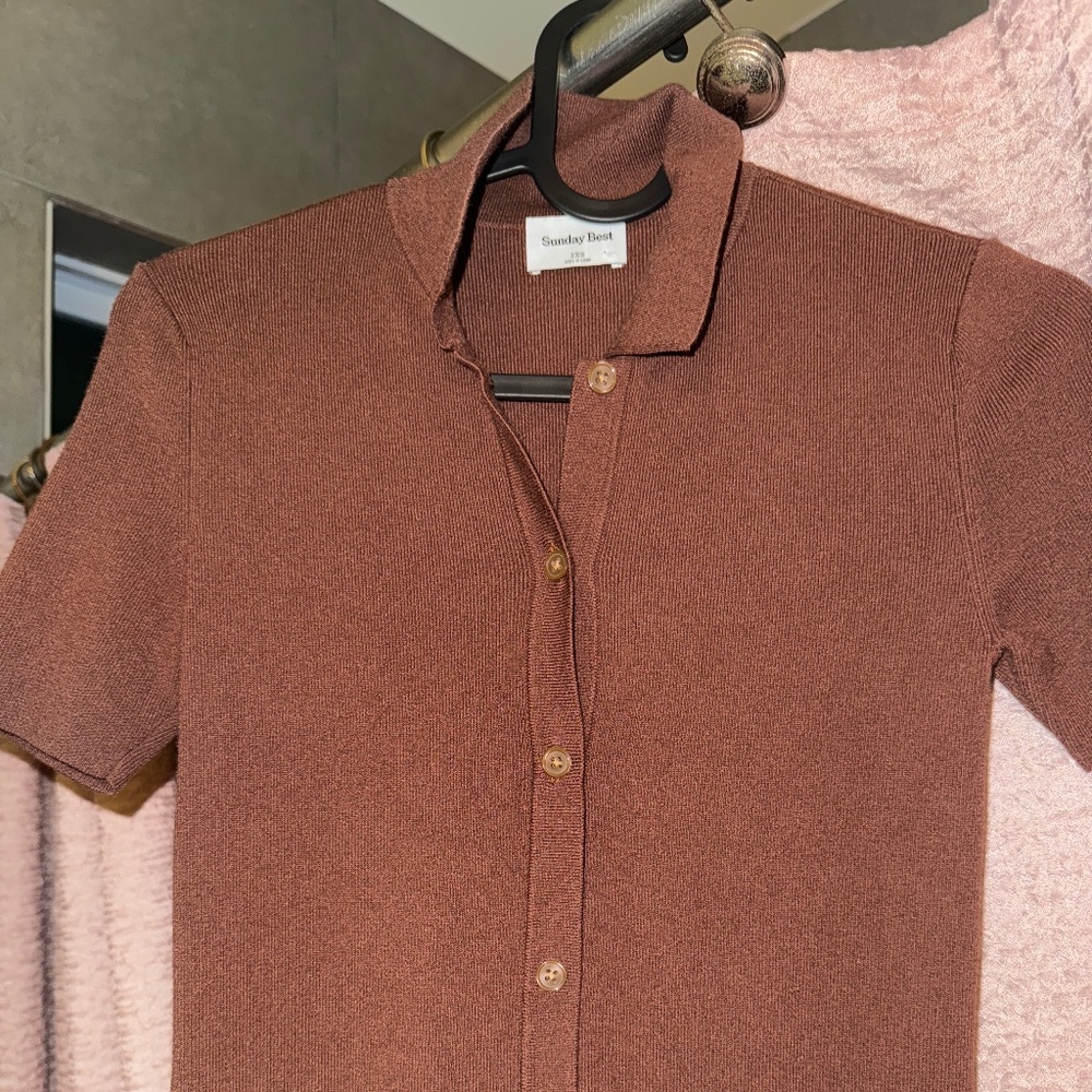 Sunday best Aritzia polo dress